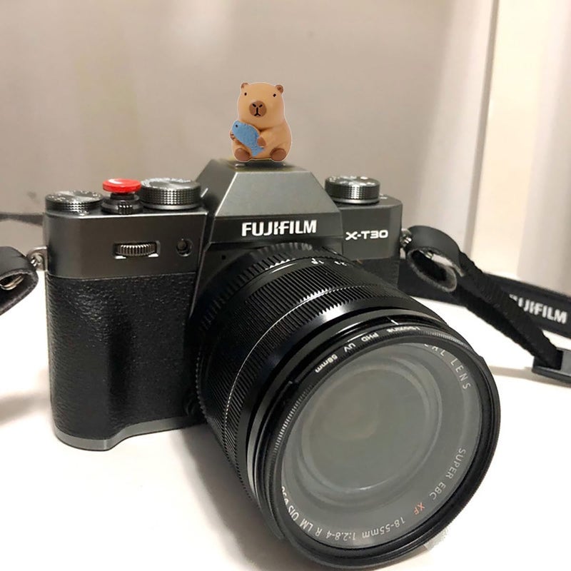 MENGSOOD Camera Hot Shoe Cover, Cute Hot Shoe Cap, Hot Shoe Protector Compatible with Sony Fujifilm Fuji Canon Nikon Pentax Leical Panasonic (2pcs Capybara) - Image 5
